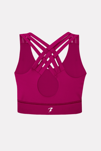 Maroon Plum Power Sports Bra - BODYBORN